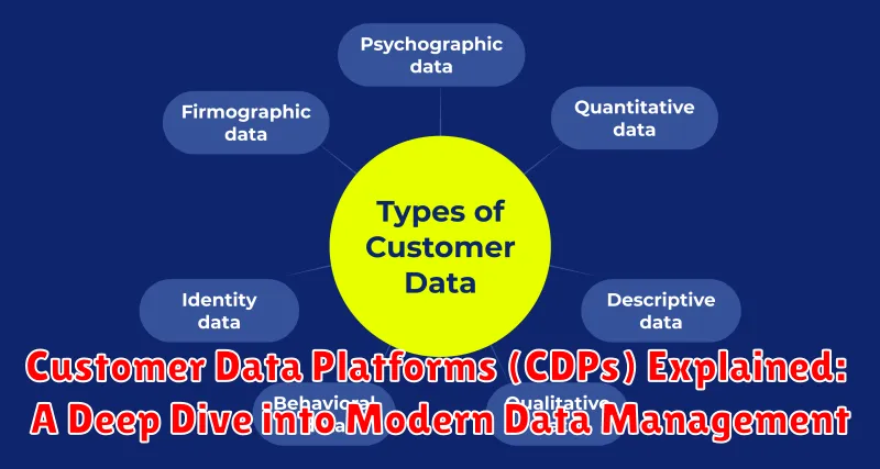 Customer Data Platforms (CDPs) Explained: A Deep Dive into Modern Data Management