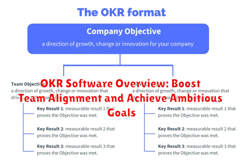 OKR Software Overview: Boost Team Alignment and Achieve Ambitious Goals